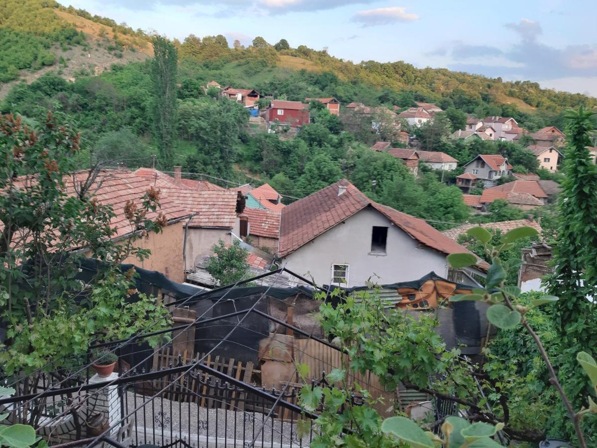 Vila Mir Pirot Dış mekan fotoğraf