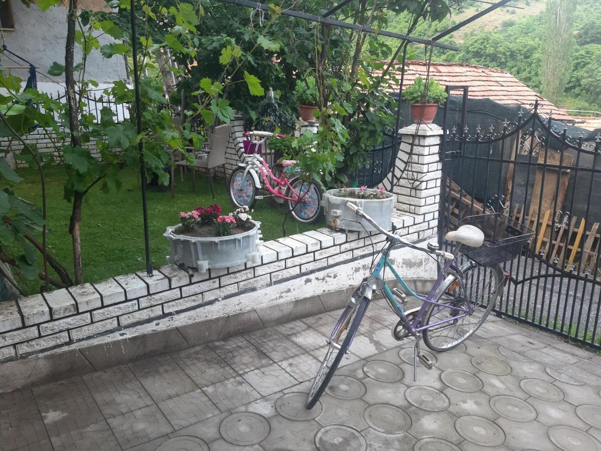 Vila Mir Pirot Dış mekan fotoğraf