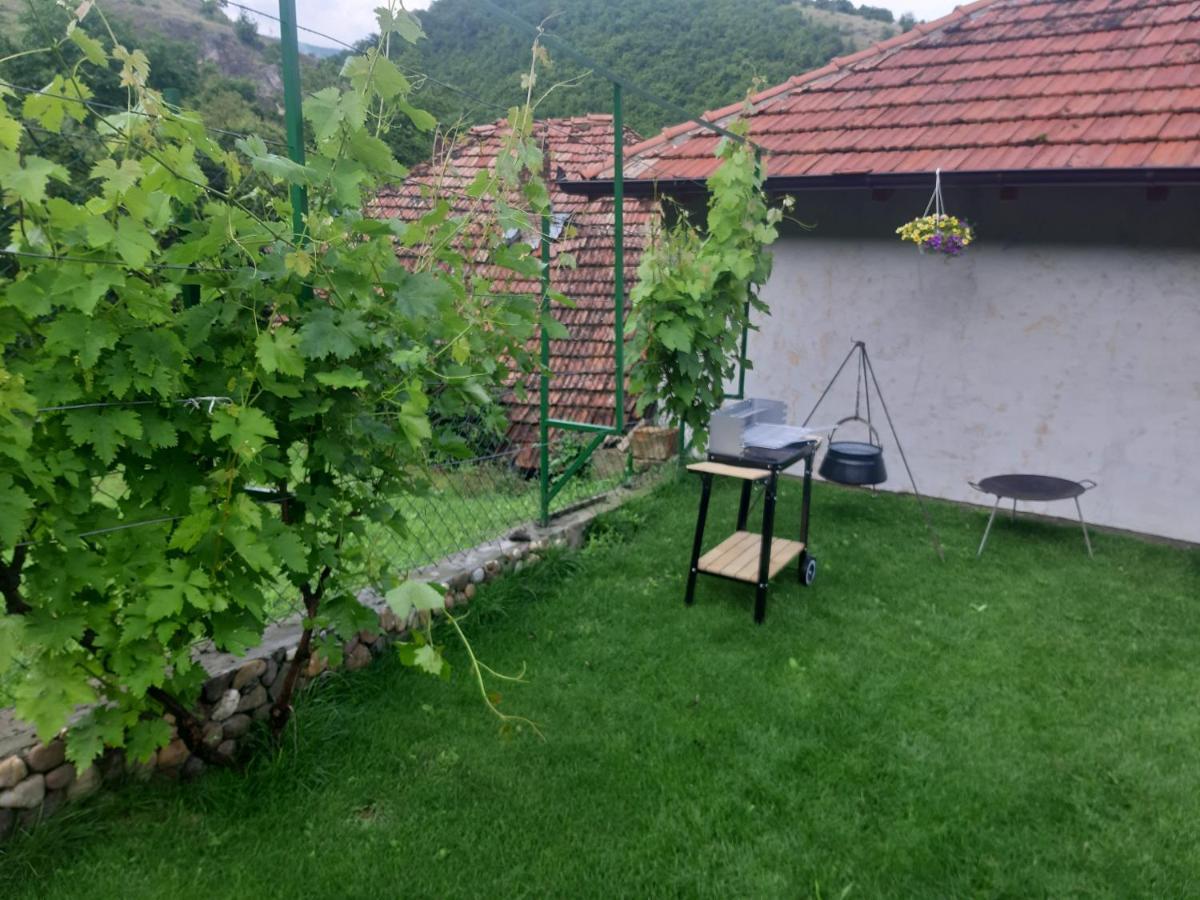 Vila Mir Pirot Dış mekan fotoğraf