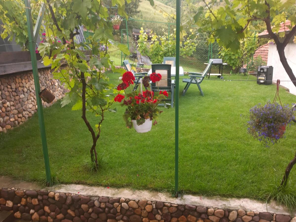 Vila Mir Pirot Dış mekan fotoğraf