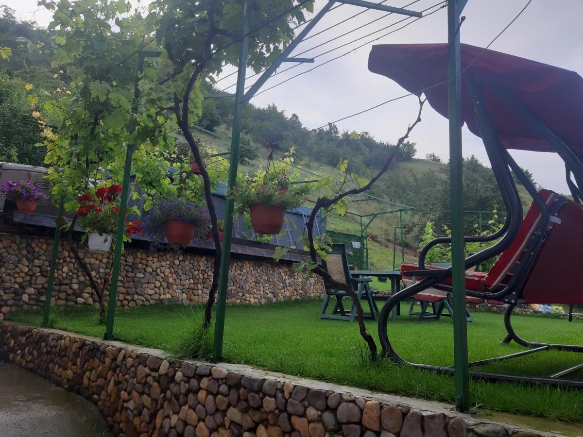 Vila Mir Pirot Dış mekan fotoğraf