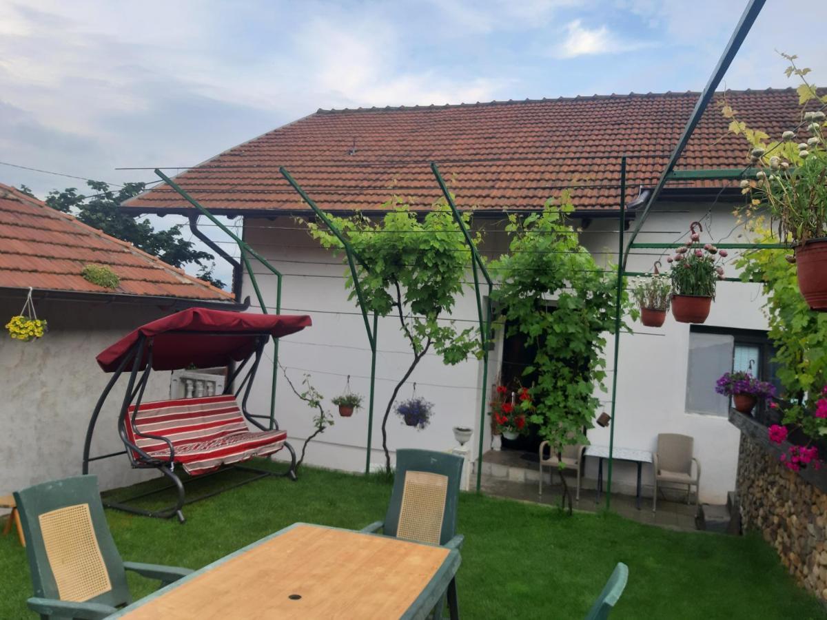 Vila Mir Pirot Dış mekan fotoğraf